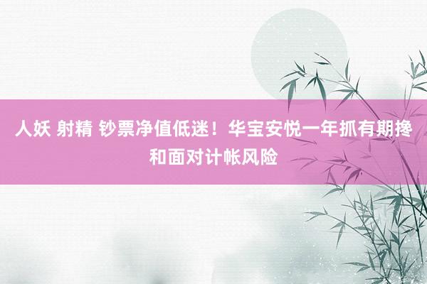 人妖 射精 钞票净值低迷!华宝安悦一年抓有期搀和面对计帐风险
