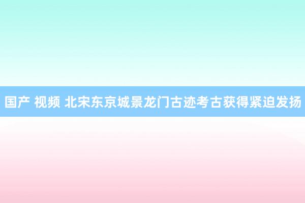 国产 视频 北宋东京城景龙门古迹考古获得紧迫发扬