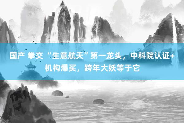 国产 拳交 “生意航天”第一龙头，中科院认证+机构爆买，跨年大妖等于它