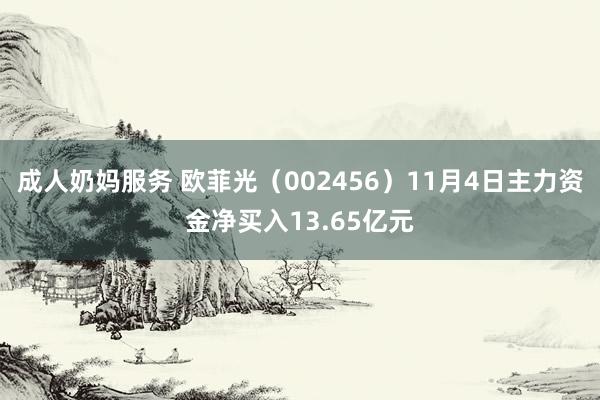 成人奶妈服务 欧菲光(002456)11月4日主力资金净买入13.65亿元