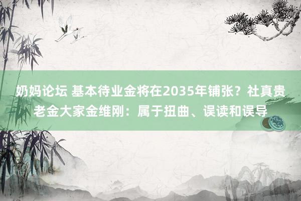 奶妈论坛 基本待业金将在2035年铺张？社真贵老金大家金维刚：属于扭曲、误读和误导