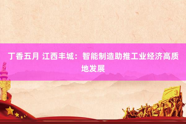 丁香五月 江西丰城:智能制造助推工业经济高质地发展