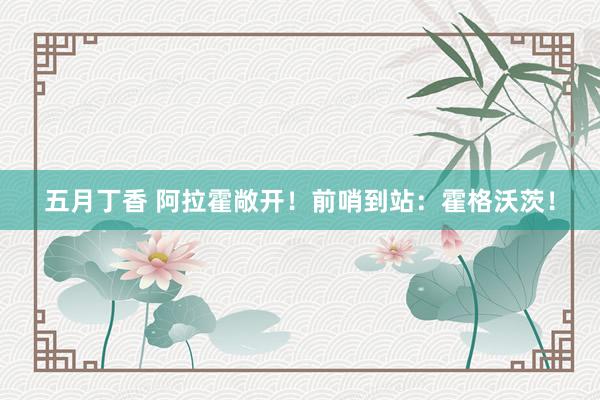五月丁香 阿拉霍敞开！前哨到站：霍格沃茨！