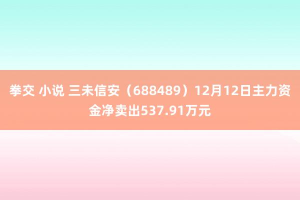 拳交 小说 三未信安(688489)12月12日主力资金净卖出537.91万元