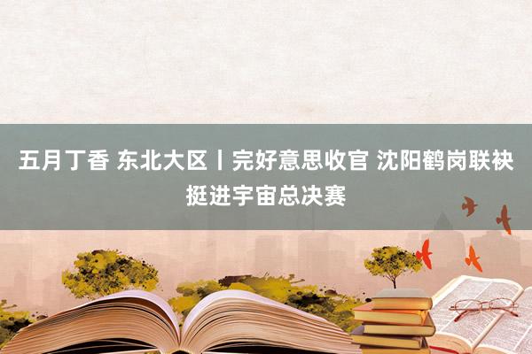 五月丁香 东北大区丨完好意思收官 沈阳鹤岗联袂挺进宇宙总决赛