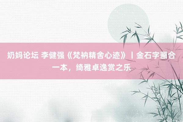奶妈论坛 李健强《梵衲精舍心迹》丨金石字画合一本，绮雅卓逸赏之乐
