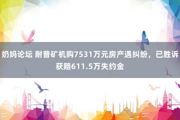 奶妈论坛 耐普矿机购7531万元房产遇纠纷，已胜诉获赔611.5万失约金