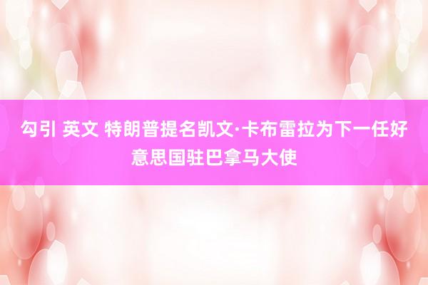勾引 英文 特朗普提名凯文·卡布雷拉为下一任好意思国驻巴拿马大使