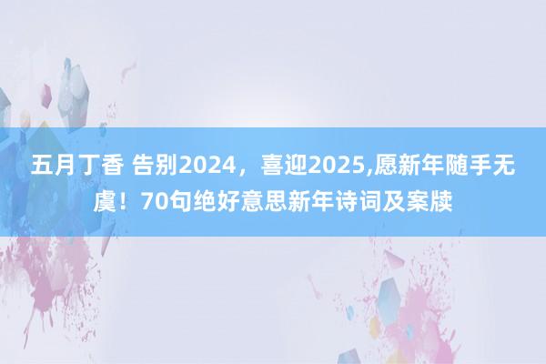 五月丁香 告别2024，喜迎2025，愿新年随手无虞！70句绝好意思新年诗词及案牍