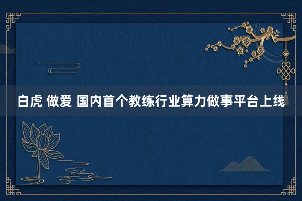 白虎 做爱 国内首个教练行业算力做事平台上线