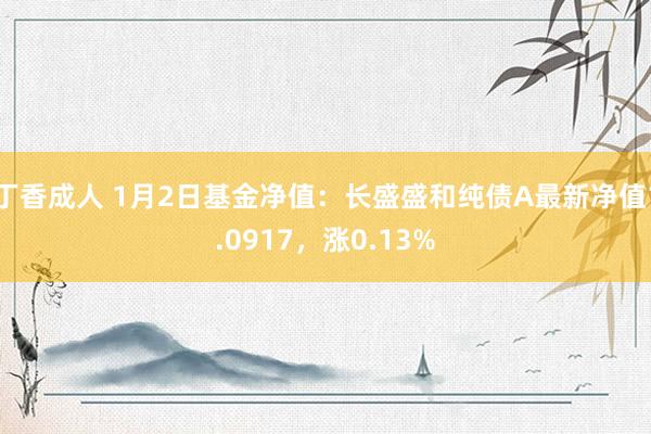 丁香成人 1月2日基金净值：长盛盛和纯债A最新净值1.0917，涨0.13%