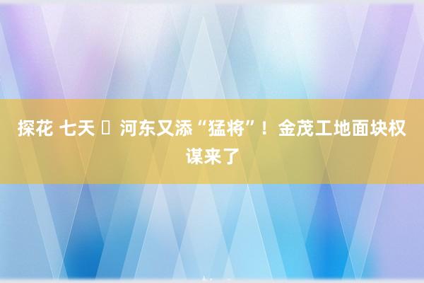 探花 七天 ​河东又添“猛将”！金茂工地面块权谋来了