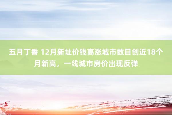 五月丁香 12月新址价钱高涨城市数目创近18个月新高，一线城市房价出现反弹