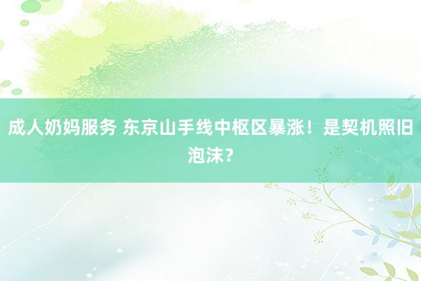 成人奶妈服务 东京山手线中枢区暴涨！是契机照旧泡沫？