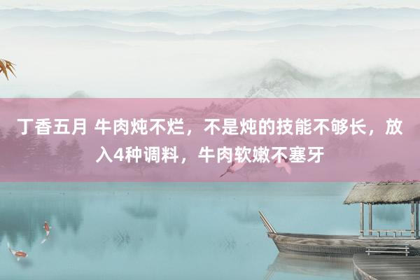 丁香五月 牛肉炖不烂，不是炖的技能不够长，放入4种调料，牛肉软嫩不塞牙
