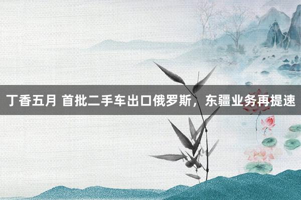 丁香五月 首批二手车出口俄罗斯，东疆业务再提速
