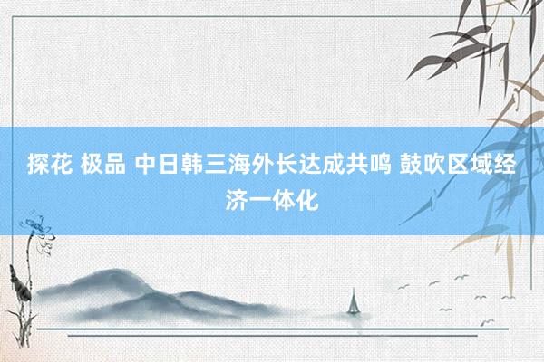 探花 极品 中日韩三海外长达成共鸣 鼓吹区域经济一体化