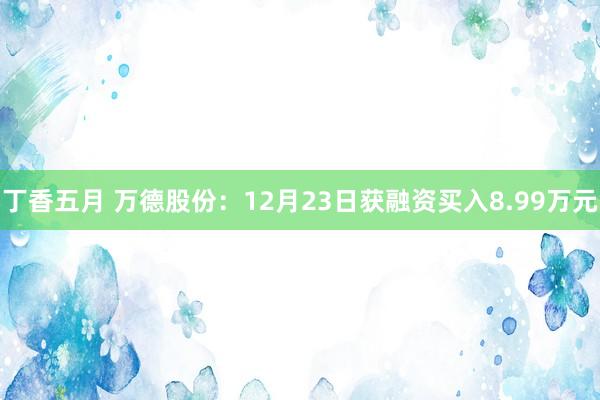 丁香五月 万德股份：12月23日获融资买入8.99万元