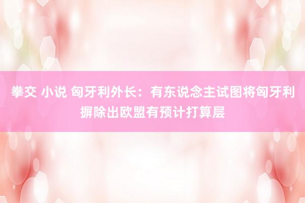 拳交 小说 匈牙利外长：有东说念主试图将匈牙利摒除出欧盟有预计打算层