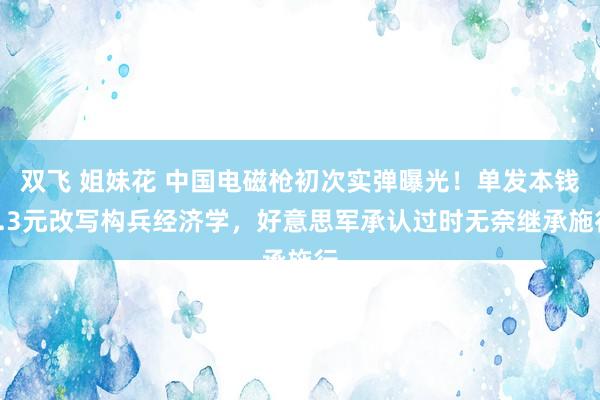 双飞 姐妹花 中国电磁枪初次实弹曝光！单发本钱0.3元改写构兵经济学，好意思军承认过时无奈继承施行