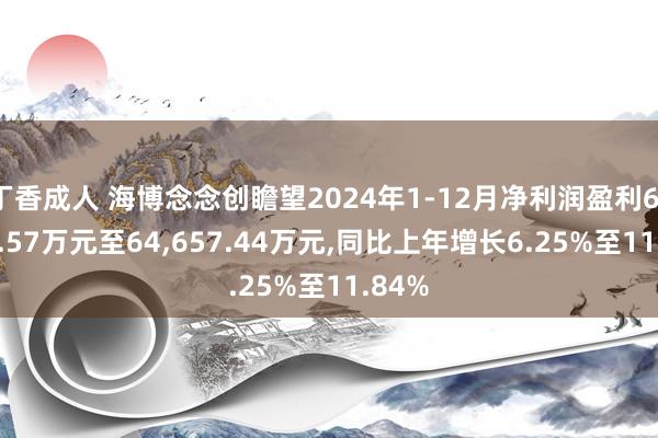 丁香成人 海博念念创瞻望2024年1-12月净利润盈利61，424.57万元至64，657.44万元，同比上年增长6.25%至11.84%