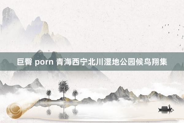 巨臀 porn 青海西宁北川湿地公园候鸟翔集