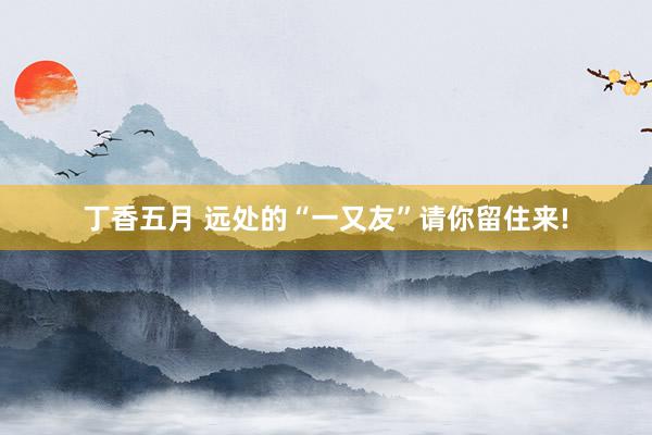 丁香五月 远处的“一又友”请你留住来!