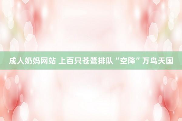 成人奶妈网站 上百只苍鹭排队“空降”万鸟天国