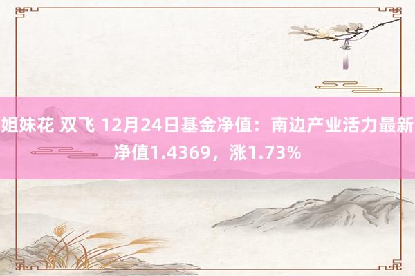 姐妹花 双飞 12月24日基金净值：南边产业活力最新净值1.4369，涨1.73%