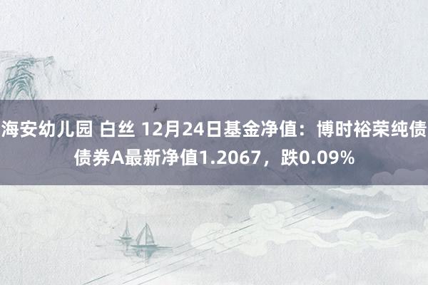 海安幼儿园 白丝 12月24日基金净值：博时裕荣纯债债券A最新净值1.2067，跌0.09%