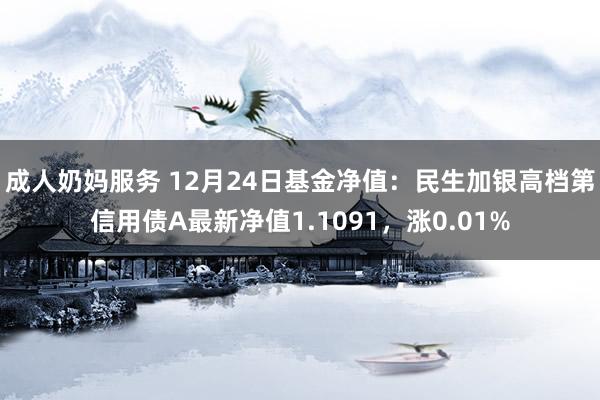 成人奶妈服务 12月24日基金净值：民生加银高档第信用债A最新净值1.1091，涨0.01%