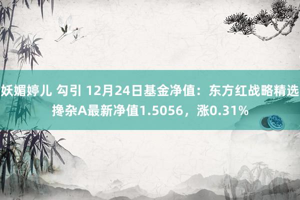 妖媚婷儿 勾引 12月24日基金净值：东方红战略精选搀杂A最新净值1.5056，涨0.31%