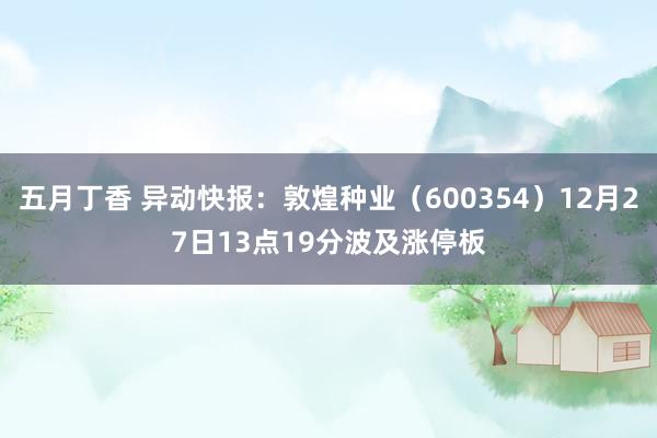 五月丁香 异动快报：敦煌种业（600354）12月27日13点19分波及涨停板