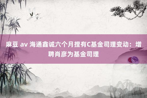 麻豆 av 海通鑫诚六个月捏有C基金司理变动：增聘肖彦为基金司理