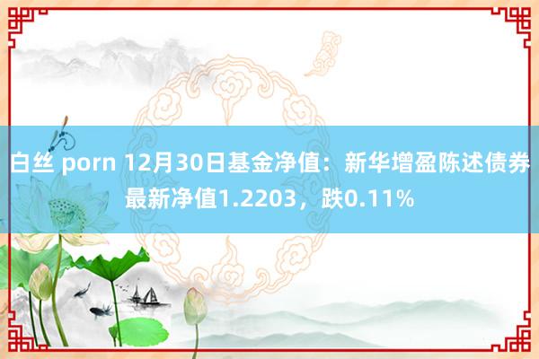 白丝 porn 12月30日基金净值：新华增盈陈述债券最新净值1.2203，跌0.11%