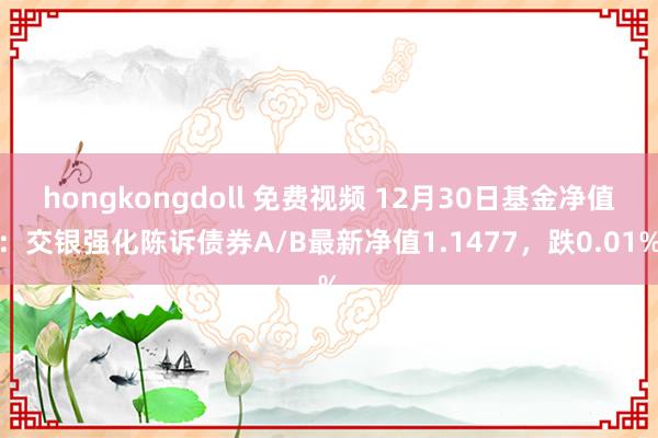 hongkongdoll 免费视频 12月30日基金净值：交银强化陈诉债券A/B最新净值1.1477，跌0.01%