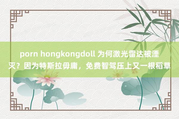 porn hongkongdoll 为何激光雷达被湮灭？因为特斯拉毋庸，免费智驾压上又一根稻草