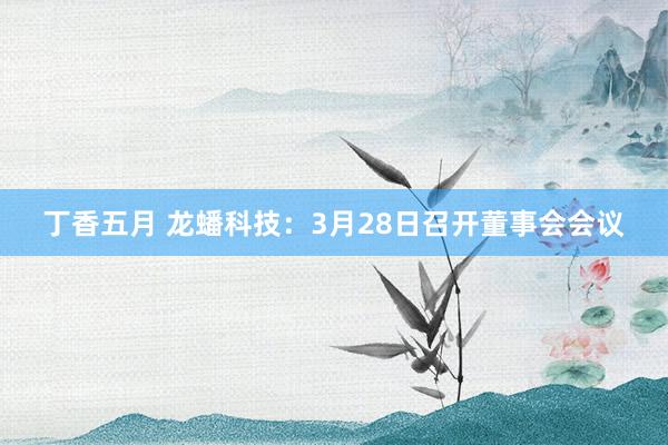 丁香五月 龙蟠科技：3月28日召开董事会会议