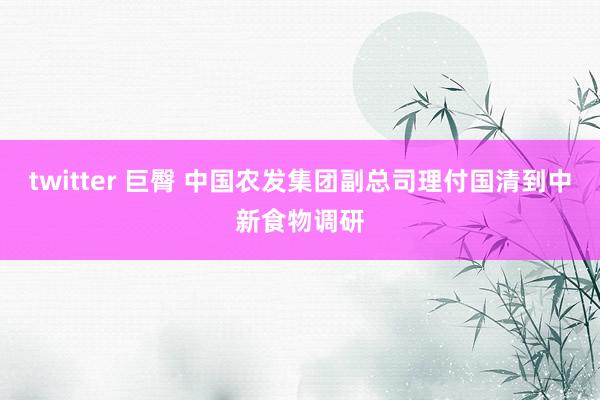 twitter 巨臀 中国农发集团副总司理付国清到中新食物调研