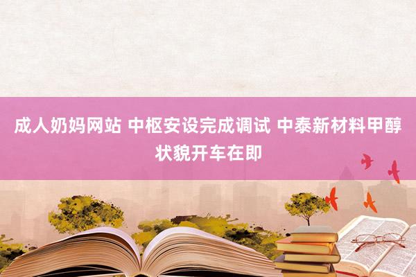 成人奶妈网站 中枢安设完成调试 中泰新材料甲醇状貌开车在即