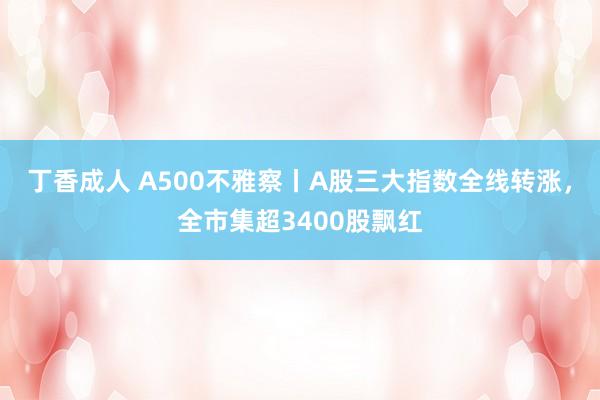 丁香成人 A500不雅察丨A股三大指数全线转涨，全市集超3400股飘红
