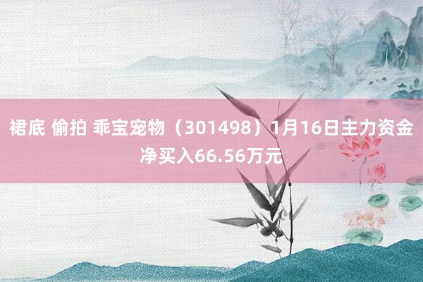 裙底 偷拍 乖宝宠物（301498）1月16日主力资金净买入66.56万元