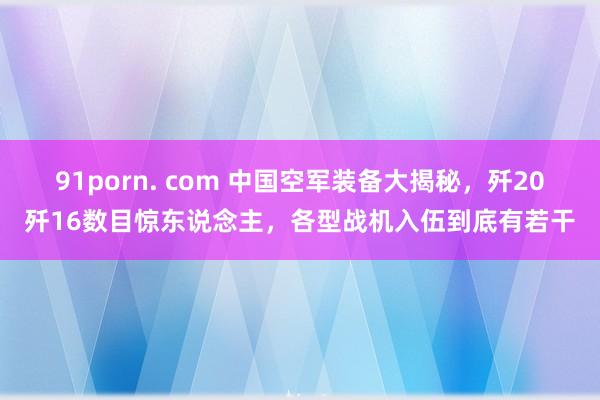 91porn. com 中国空军装备大揭秘，歼20歼16数目惊东说念主，各型战机入伍到底有若干