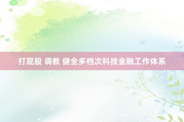 打屁股 调教 健全多档次科技金融工作体系