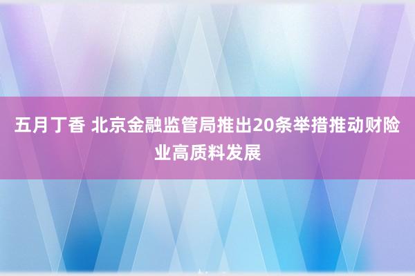 五月丁香 北京金融监管局推出20条举措推动财险业高质料发展
