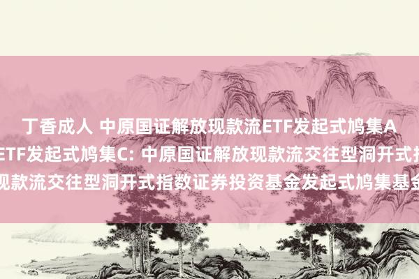 丁香成人 中原国证解放现款流ETF发起式鸠集A,中原国证解放现款流ETF发起式鸠集C: 中原国证解放现款流交往型洞开式指数证券投资基金发起式鸠集基金托管公约