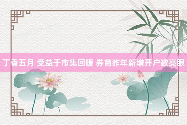 丁香五月 受益于市集回暖 券商昨年新增开户数亮眼