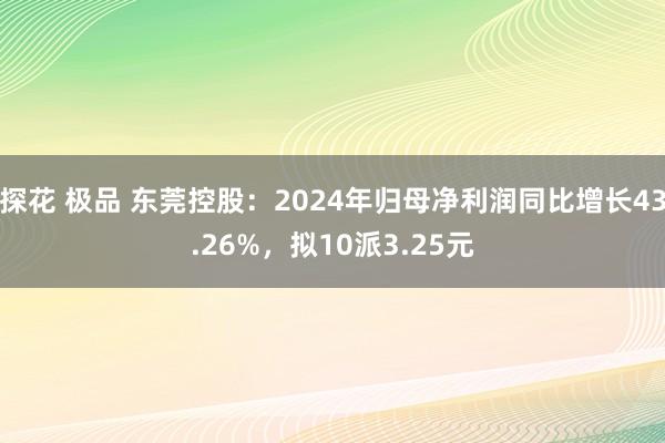 探花 极品 东莞控股：2024年归母净利润同比增长43.26%，拟10派3.25元