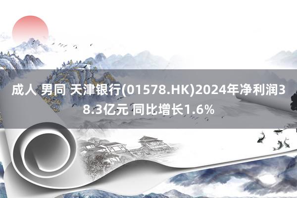 成人 男同 天津银行(01578.HK)2024年净利润38.3亿元 同比增长1.6%