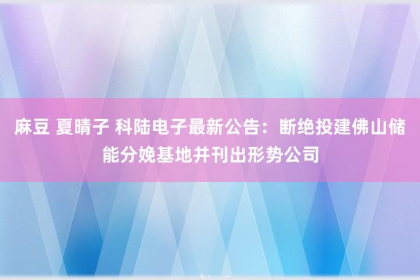 麻豆 夏晴子 科陆电子最新公告：断绝投建佛山储能分娩基地并刊出形势公司